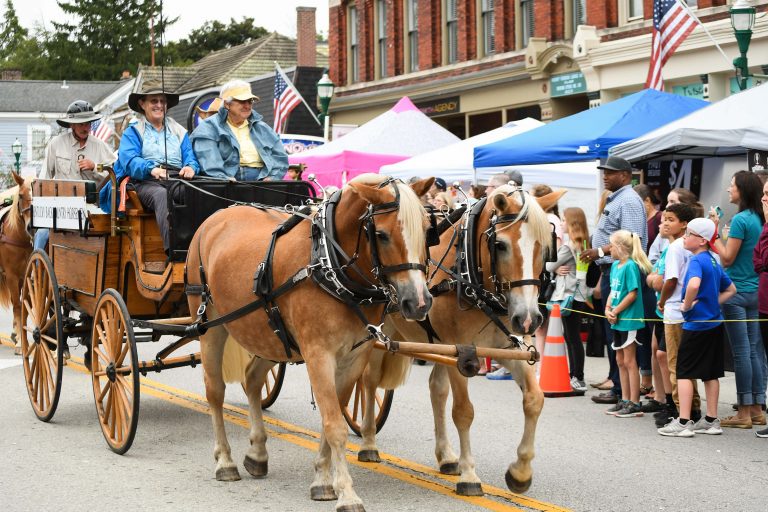 Festival of the Horse September 68, 2024