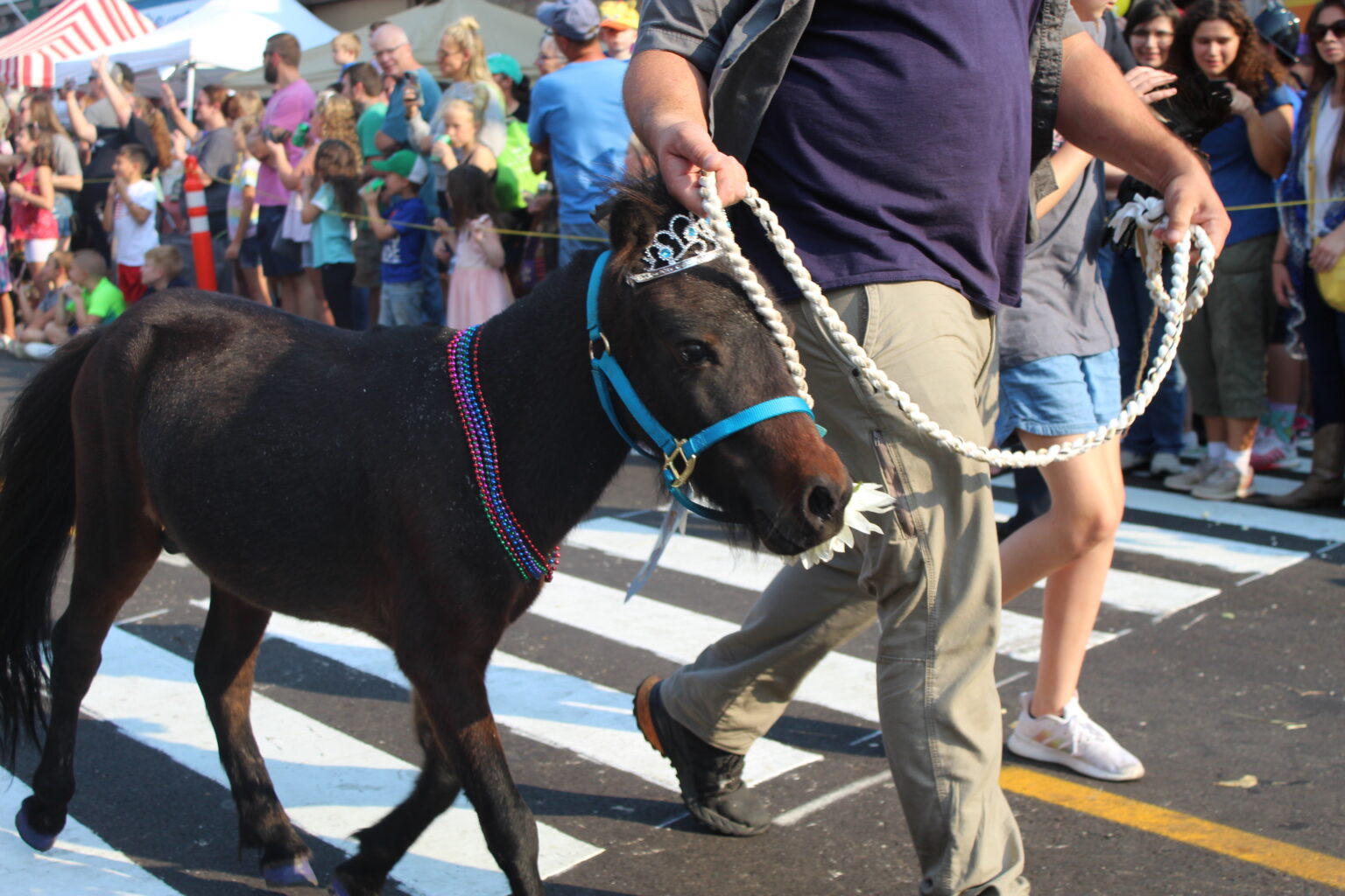 Festival of the Horse September 68, 2024