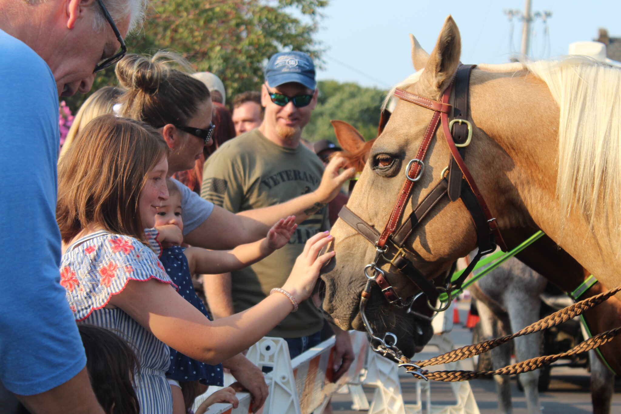 Festival of the Horse September 68, 2024